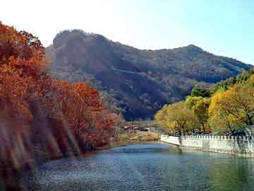 新澳天天开奖资料大全旅游团，草皮护坡